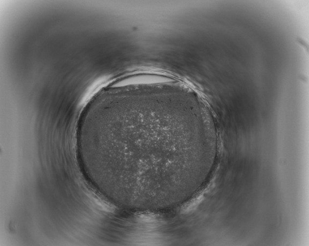 X0000095900199200801251231