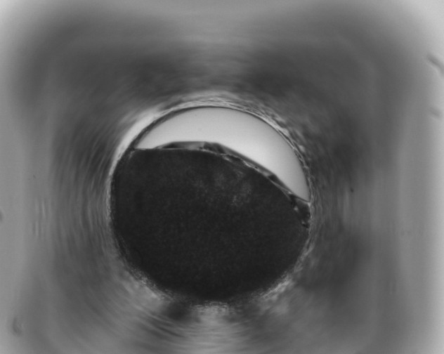 X0000095900200200801251231