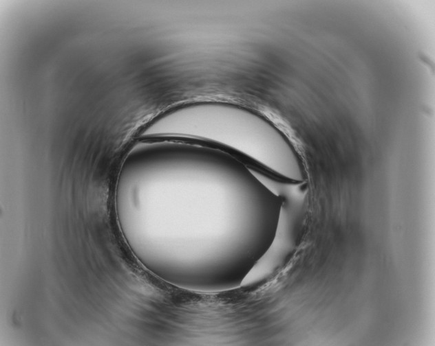 X0000095900201200801251231