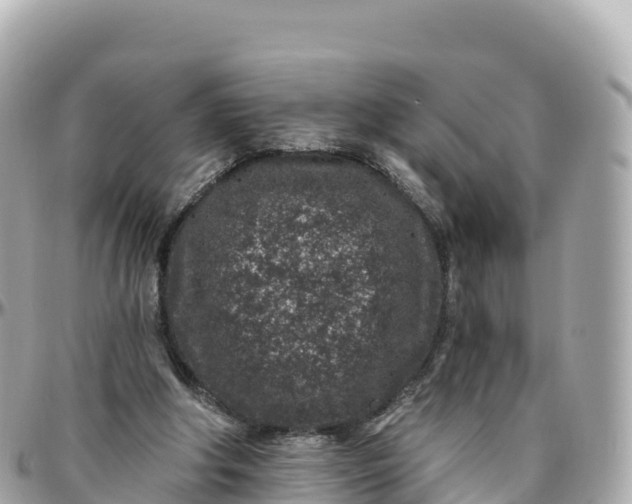 X0000095900202200801251231