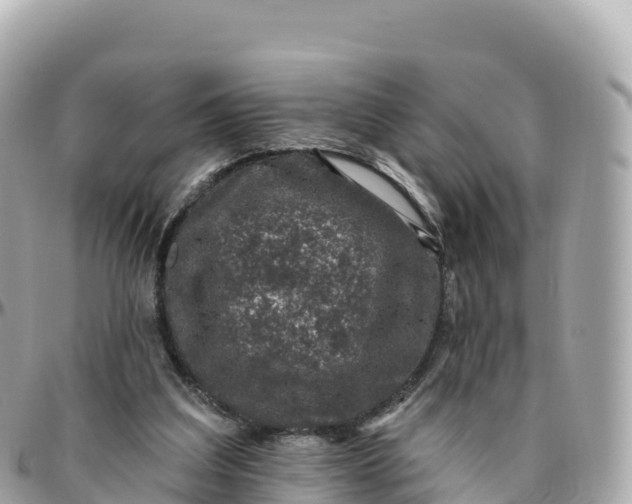 X0000095900203200801251231