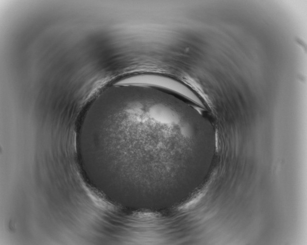 X0000095900205200801251231