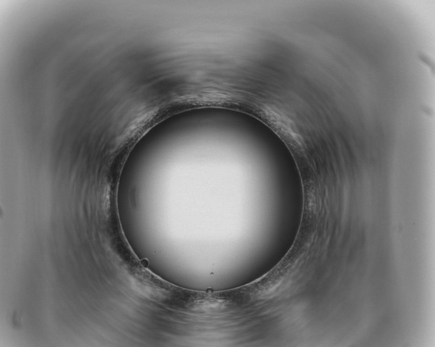 X0000095900206200801251231