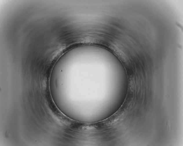 X0000095900208200801251231