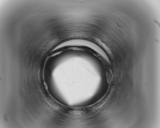 X0000095900209200801251231