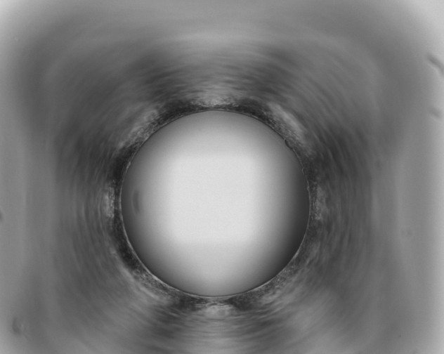 X0000095900210200801251231