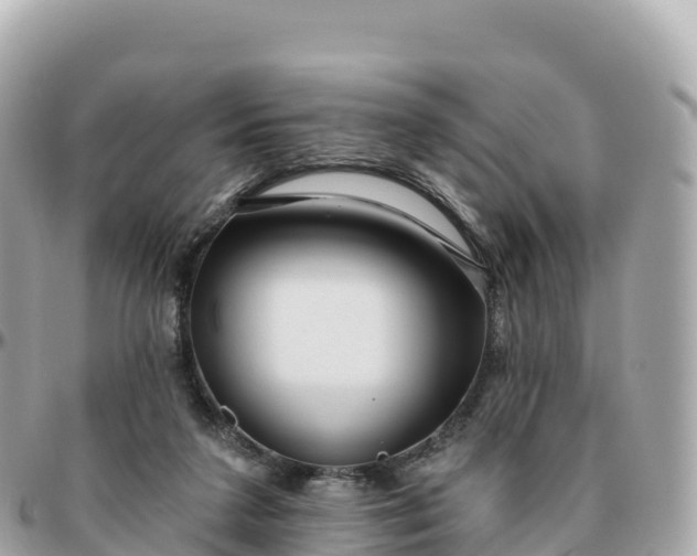 X0000095900211200801251231