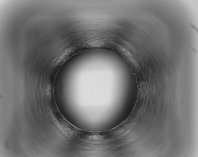 X0000095900212200801251231