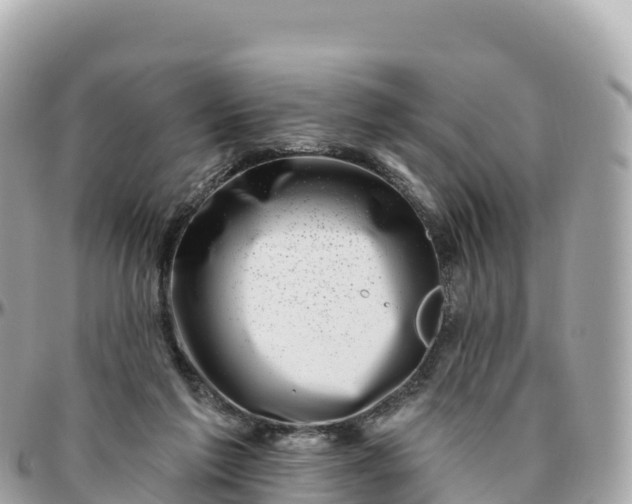 X0000095900213200801251231