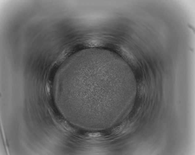 X0000095900214200801251231