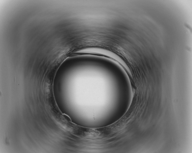 X0000095900215200801251231