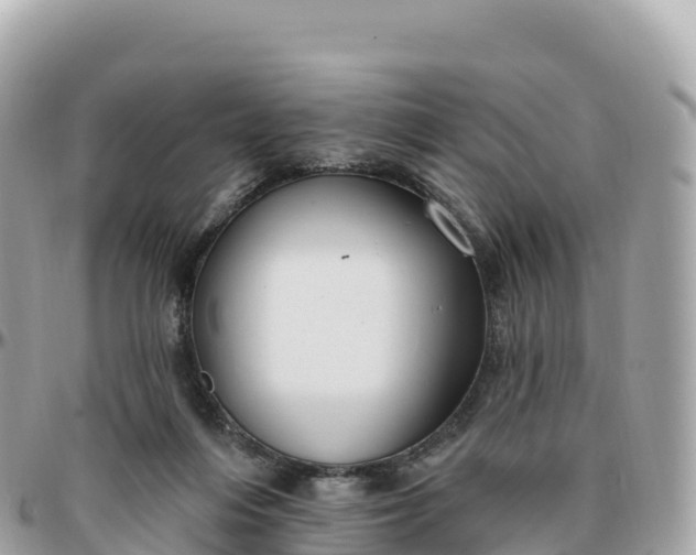 X0000095900216200801251231