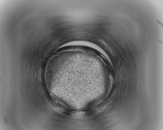 X0000095900217200801251231