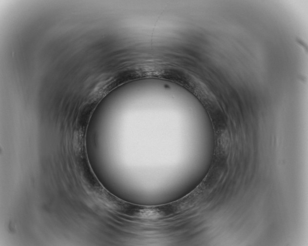 X0000095900218200801251231