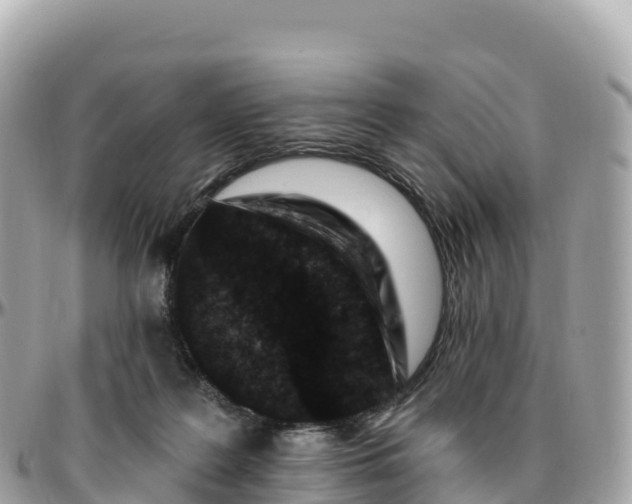 X0000095900219200801251231