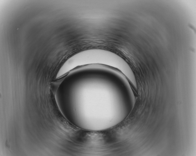 X0000095900221200801251231