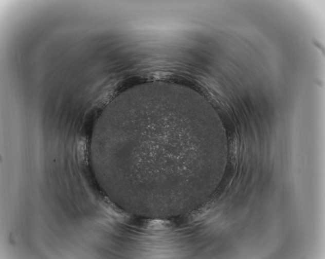 X0000095900222200801251231