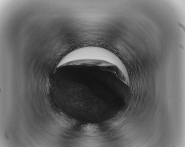 X0000095900223200801251231