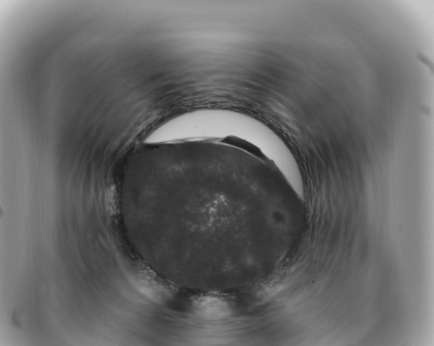 X0000095900224200801251231