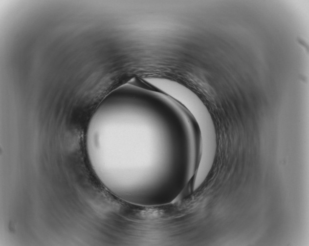 X0000095900225200801251231