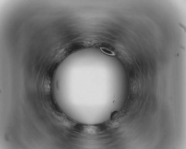 X0000095900226200801251231