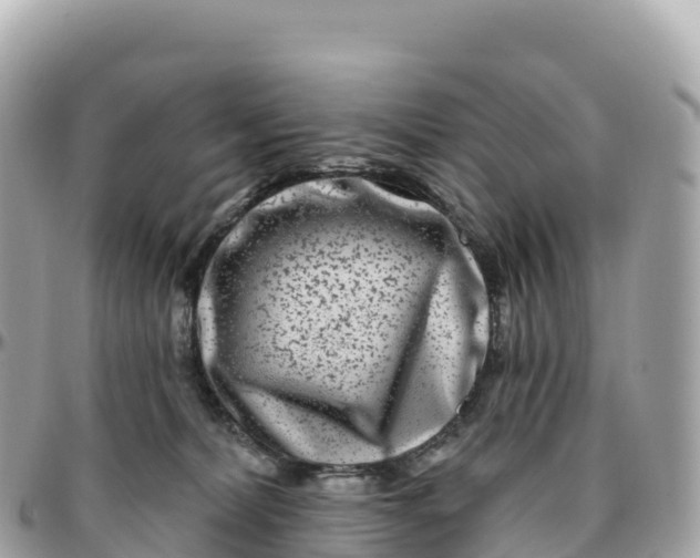 X0000095900228200801251231