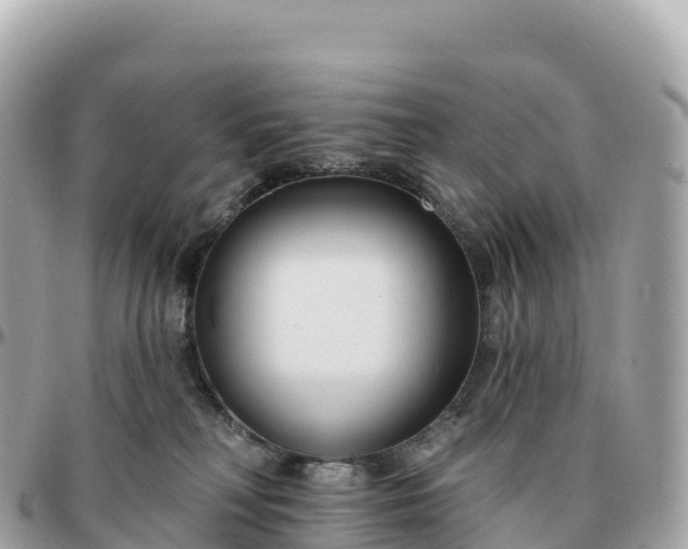 X0000095900230200801251231