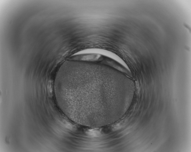 X0000095900232200801251231