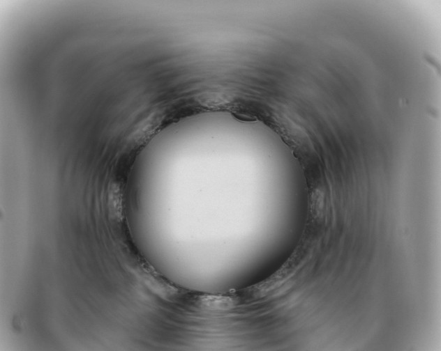 X0000095900234200801251231