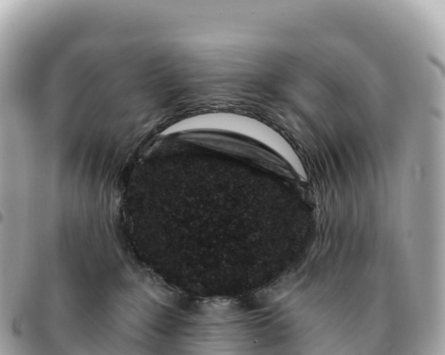 X0000095900235200801251231