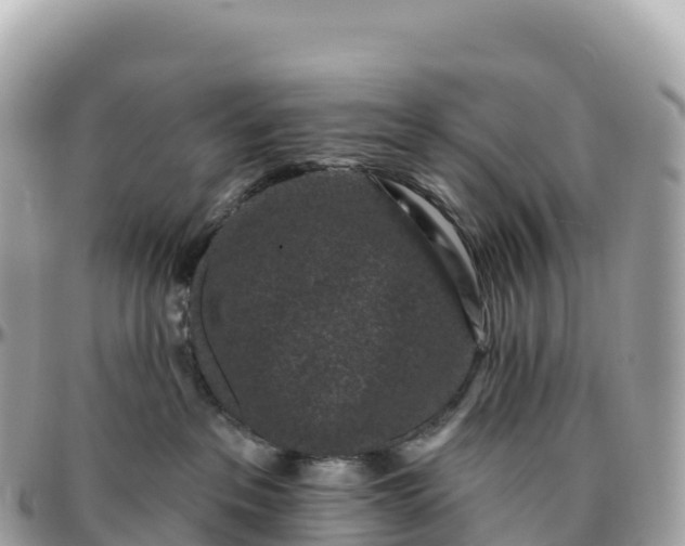 X0000095900237200801251231