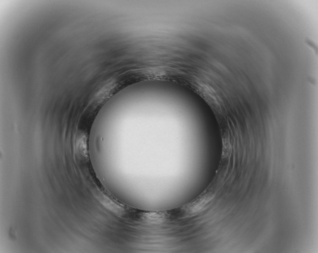 X0000095900238200801251231