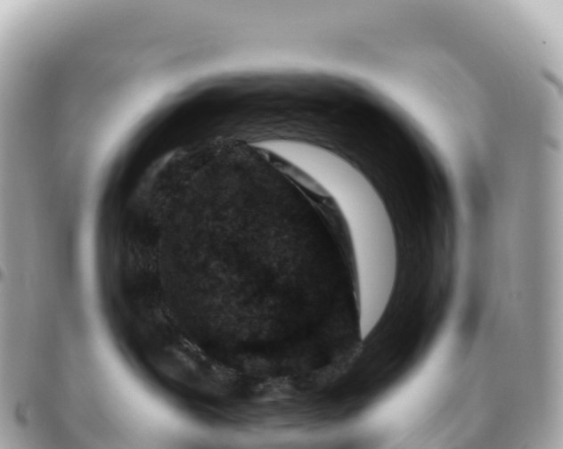 X0000095900239200801251231