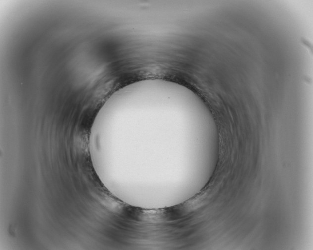 X0000095900240200801251231