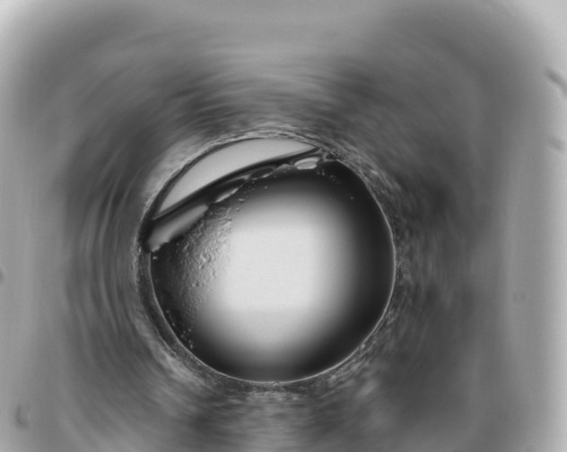 X0000095900242200801251230