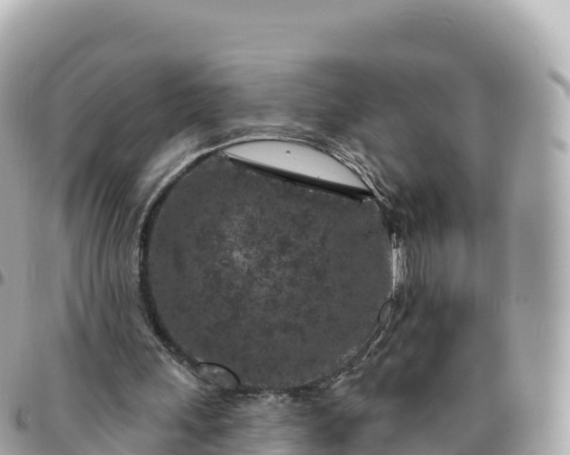 X0000095900243200801251230