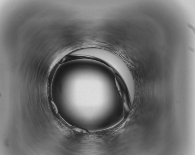 X0000095900244200801251230