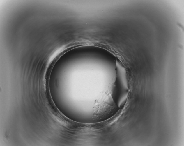 X0000095900246200801251230