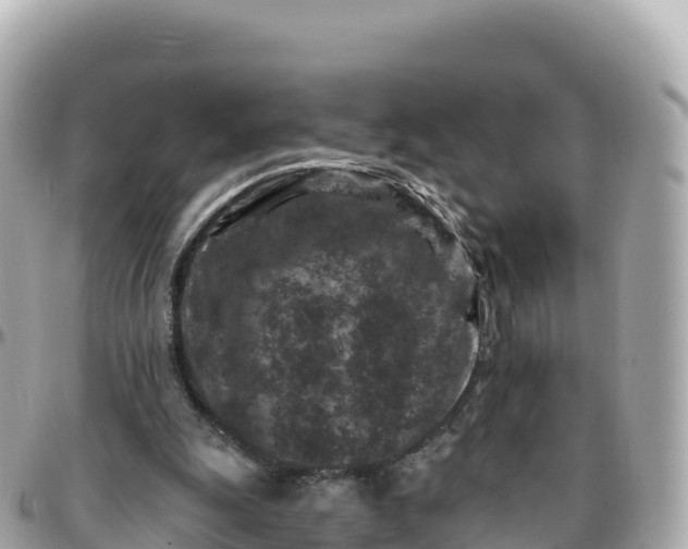 X0000095900247200801251230