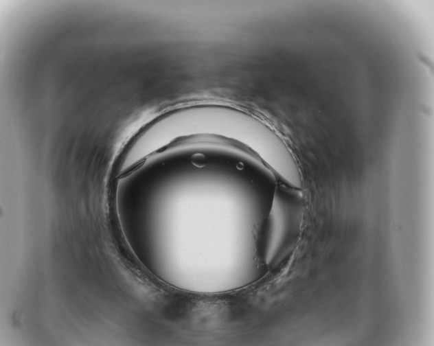 X0000095900248200801251230