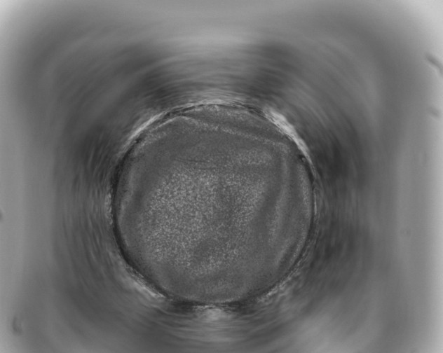 X0000095900249200801251230