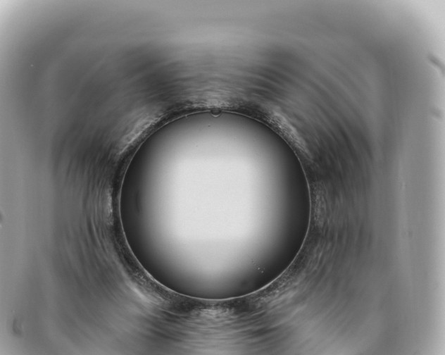 X0000095900251200801251230