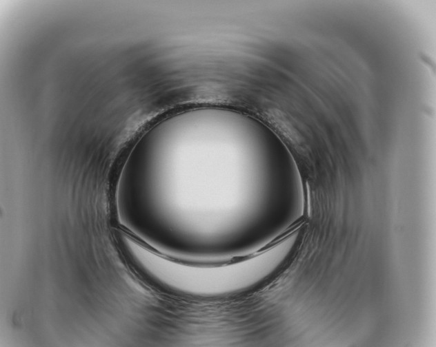 X0000095900252200801251230