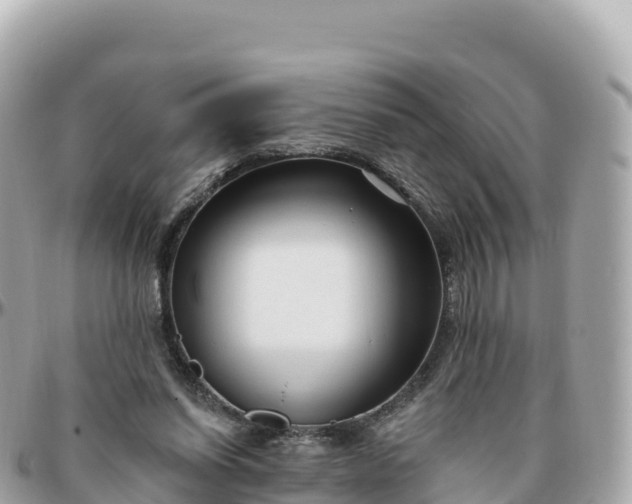 X0000095900254200801251230