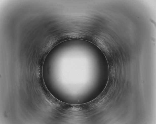 X0000095900255200801251230