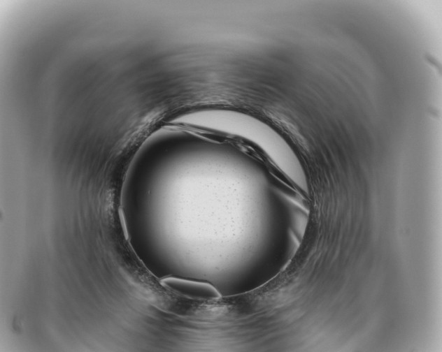 X0000095900260200801251230