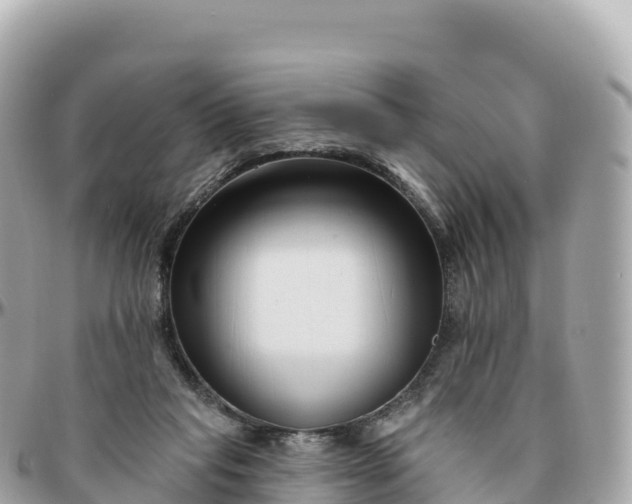 X0000095900261200801251231