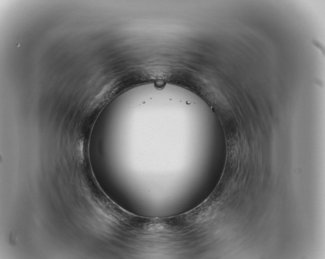 X0000095900262200801251231