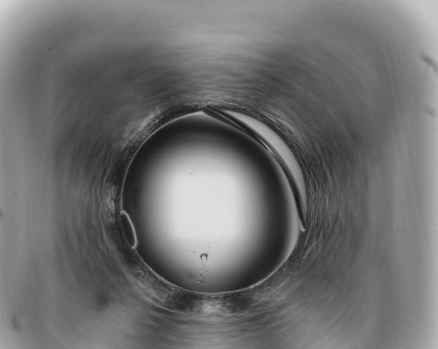 X0000095900264200801251231