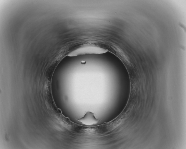 X0000095900265200801251231